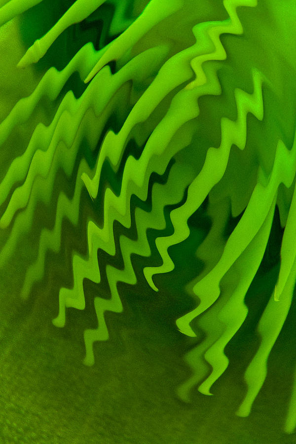 Green Zigzag Photograph by Winnie Chrzanowski
