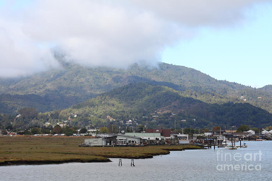 Greenbrae California Boathouses At The Base of Mount Tamalpais 5D293506