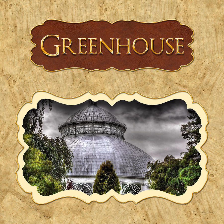 Greenhouse  button Photograph by Mike Savad
