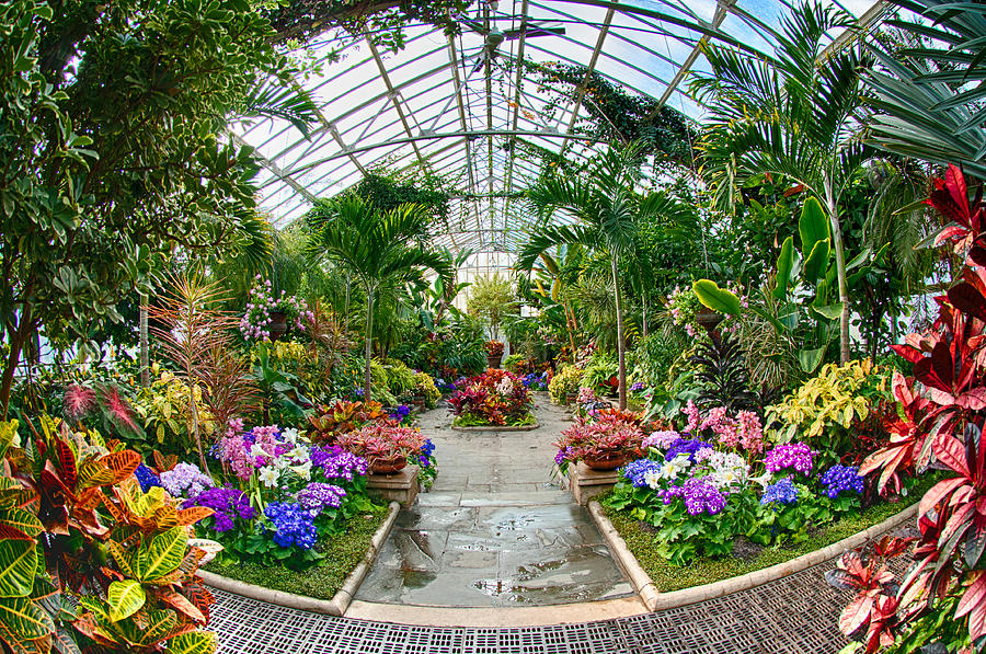 Greenhouse Garden Photograph by Roni Chastain