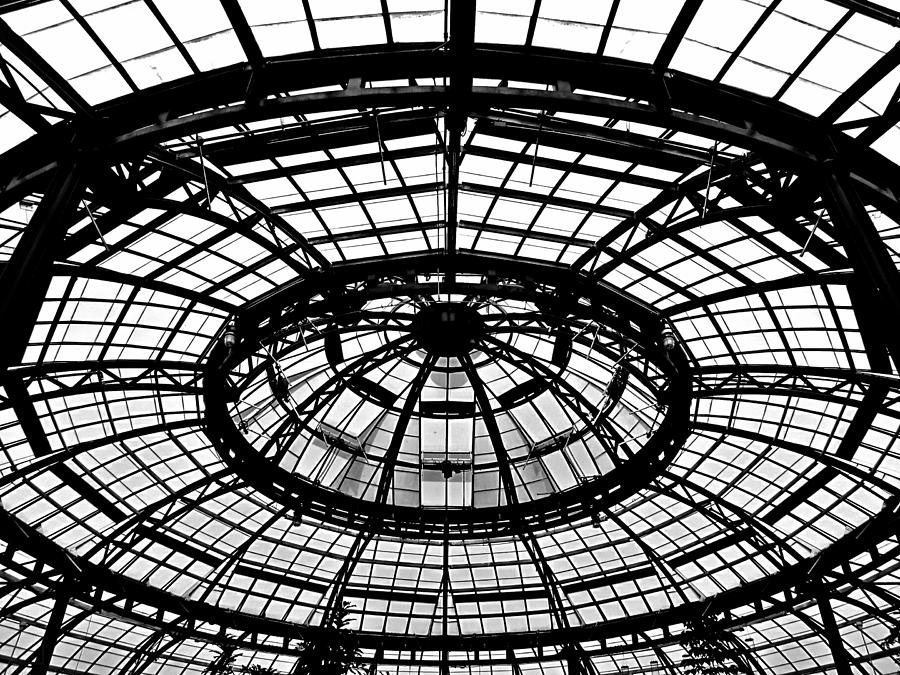 Greenhouse Photograph by Sean Kirkpatrick - Fine Art America