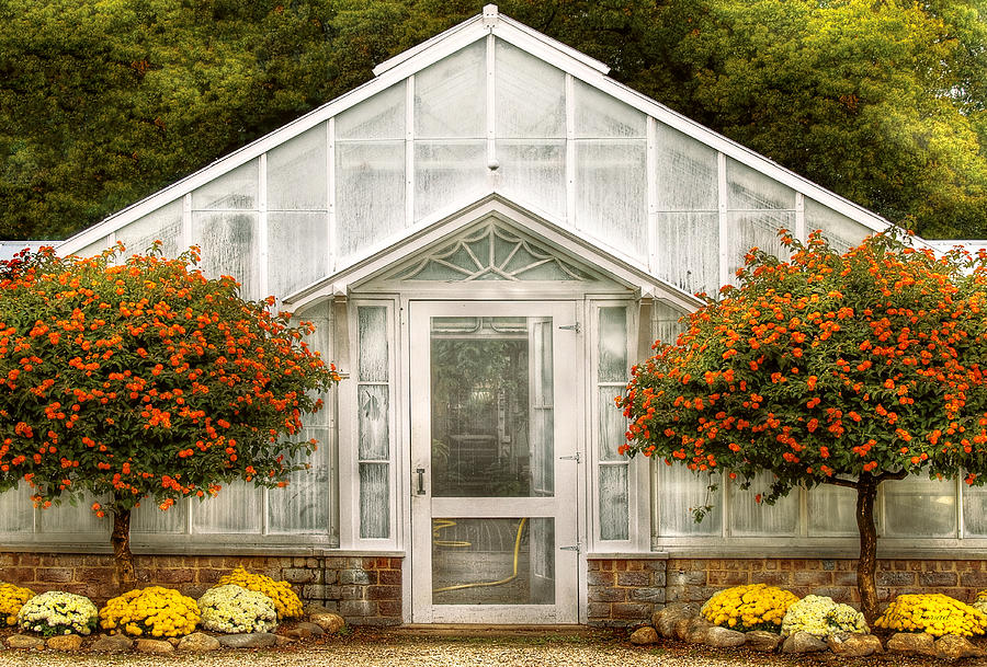 Tree Photograph - Greenhouse - The Green House Door by Mike Savad