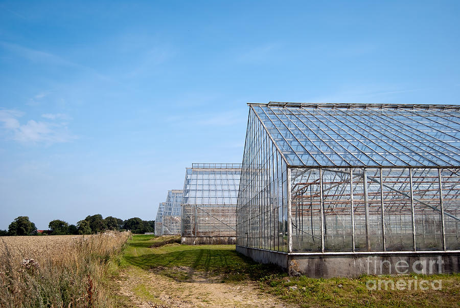 Greenhouses Photograph by Antony McAulay