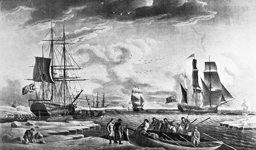 Greenland Whaling, 1789 Painting by Granger