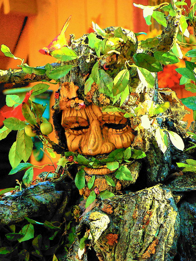 Greenman Photograph by Rodney Lee Williams
