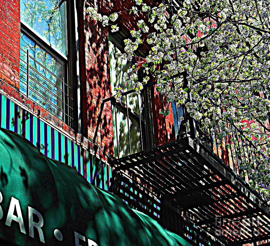 Greenwich Village Fire Escape in the Spring Photograph by Miriam Danar