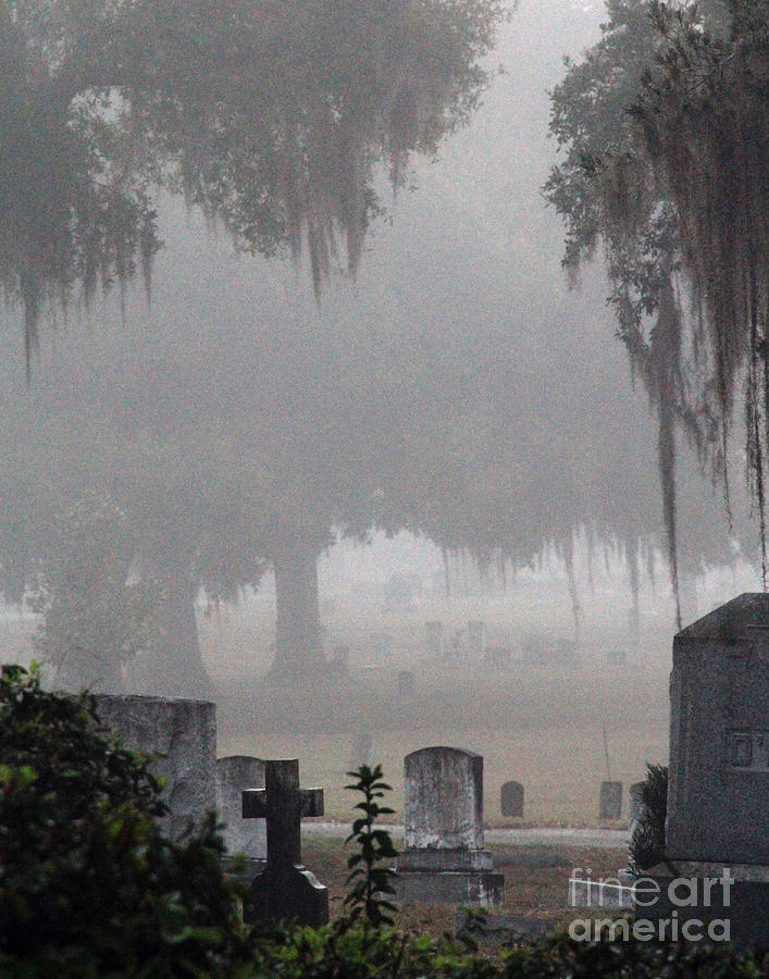 Halloween Photograph - Greenwood in Fog by Michael Gavin
