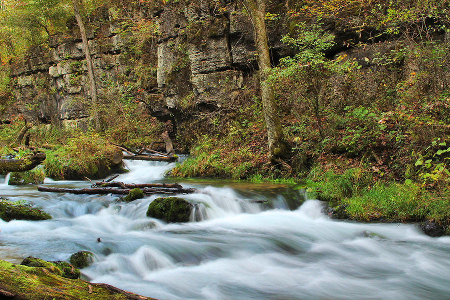 Greer Spring In The Missouri Ozarks Photograph by Greg Matchick