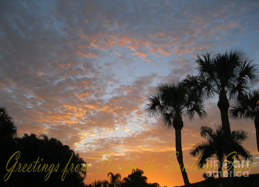 Greetings from Florida The Sunshine State Photograph by Oksana Semenchenko