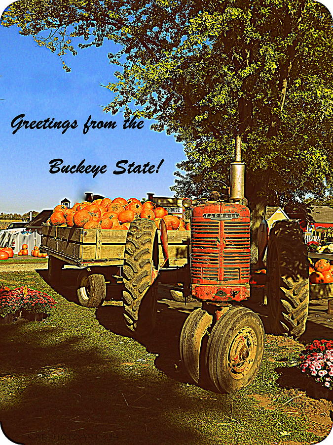 Greetings From The Buckeye State Photograph by Kathy Barney