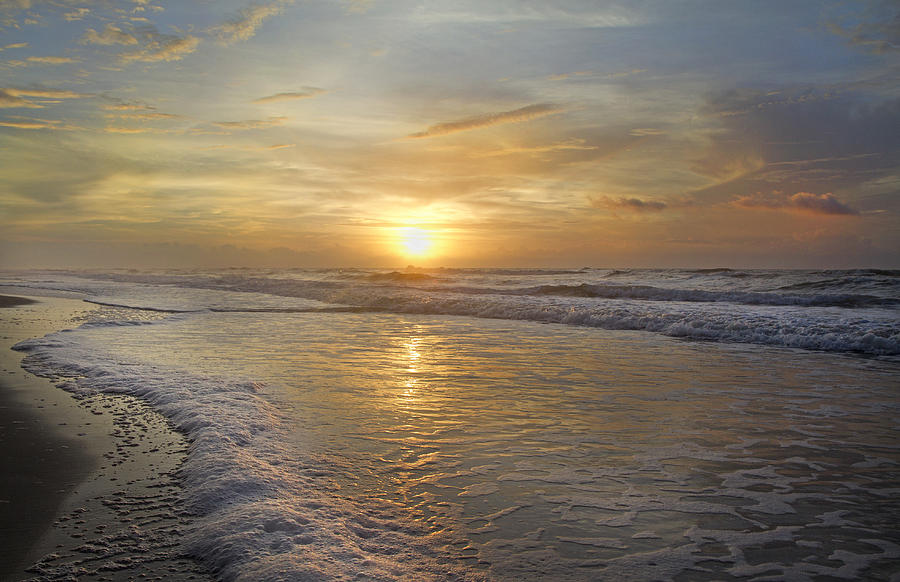 Paradise Photograph - Greetings from Topsail by Betsy Knapp