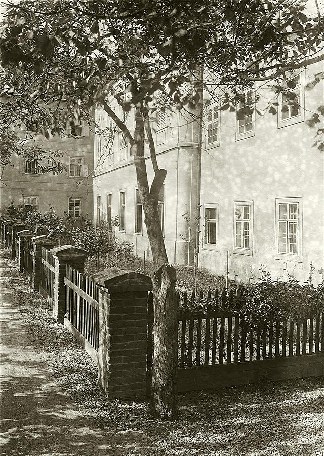 Gregor Mendels Research Garden At St Thomas Abbey Photograph by American Philosophical Society/science Photo Library