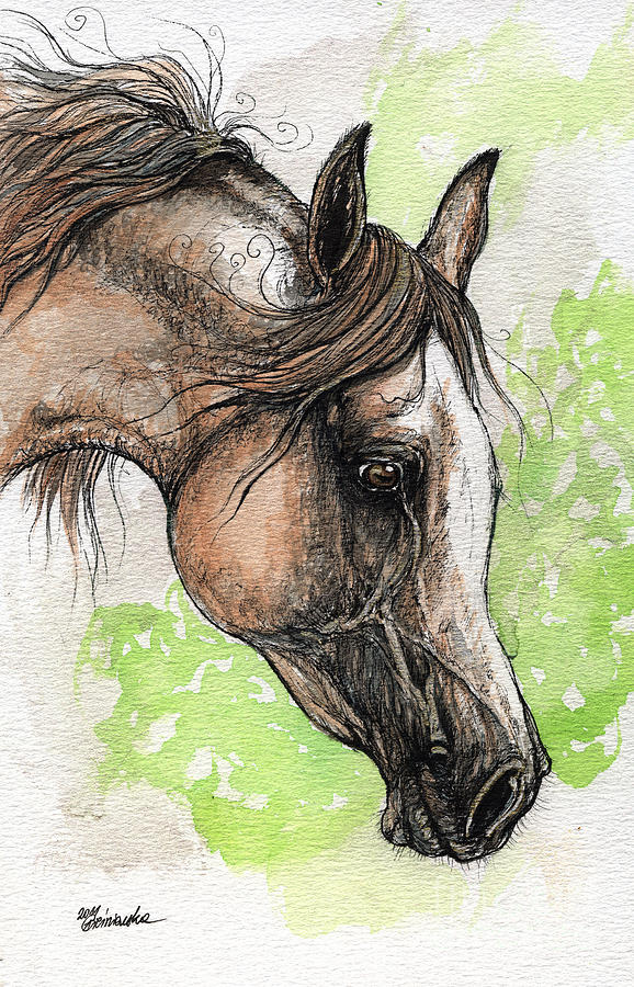 Grey Arabian Horse Watercolor Painting 4 Painting by Ang El