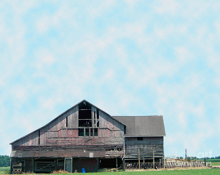 Grey Barn Photograph