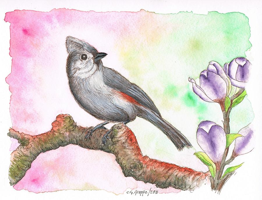 Grey bird Tufted Titmouse Painting by Carlos G Groppa