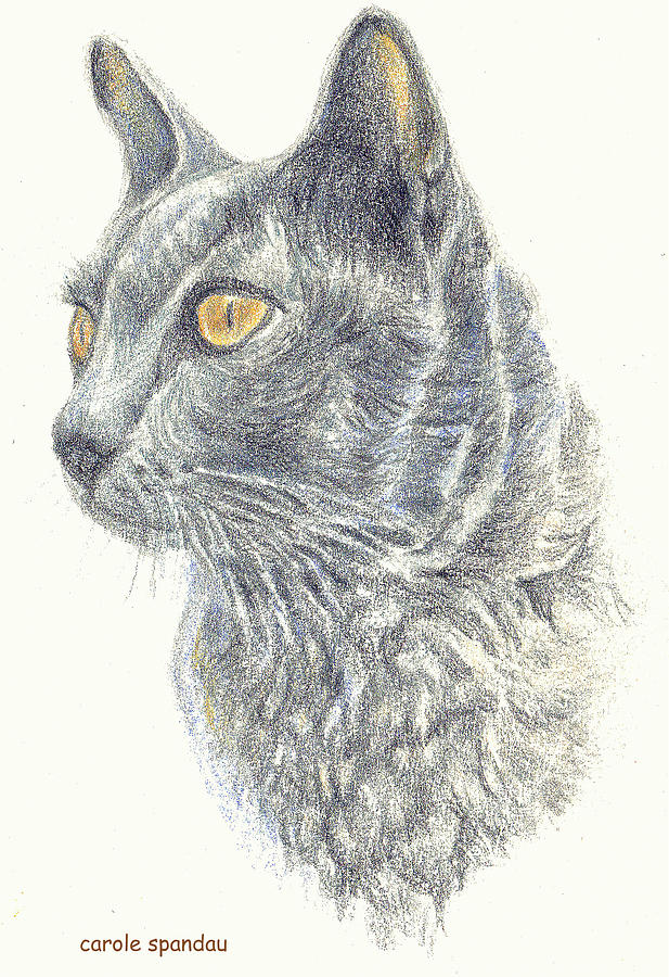 Grey Cat Painting by Carole Spandau