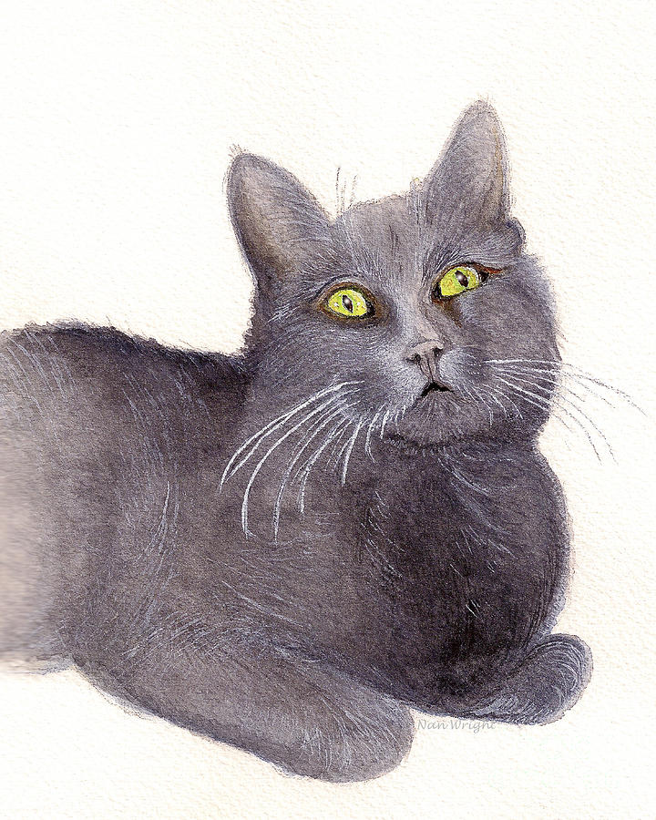 Grey Cat Painting By Nan Wright