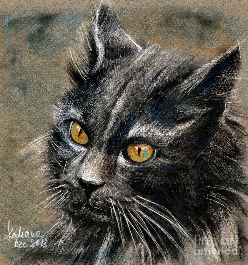 Grey cat with yellow eyes DRAWING Drawing by Daliana Pacuraru