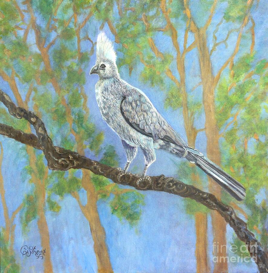 Grey Lourie Painting by Caroline Street Grey Lourie Painting by Caroline Street