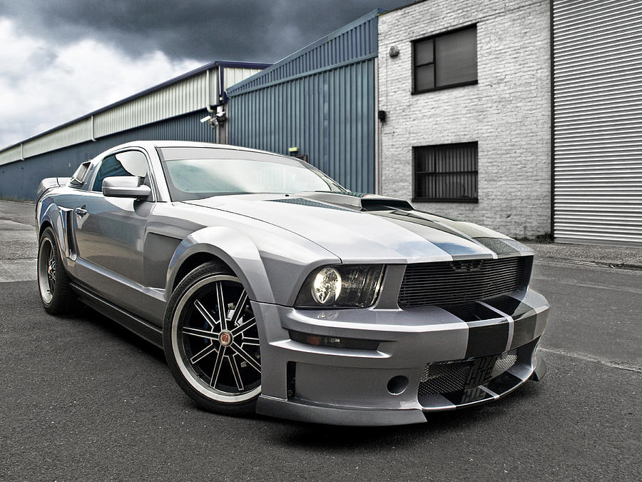 Grey Power - Cervini Mustang Photograph by Gill Billington