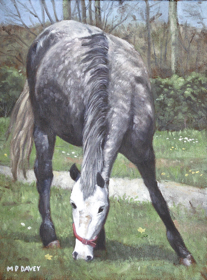 Grey Spotty Horse In Field Painting by Martin Davey