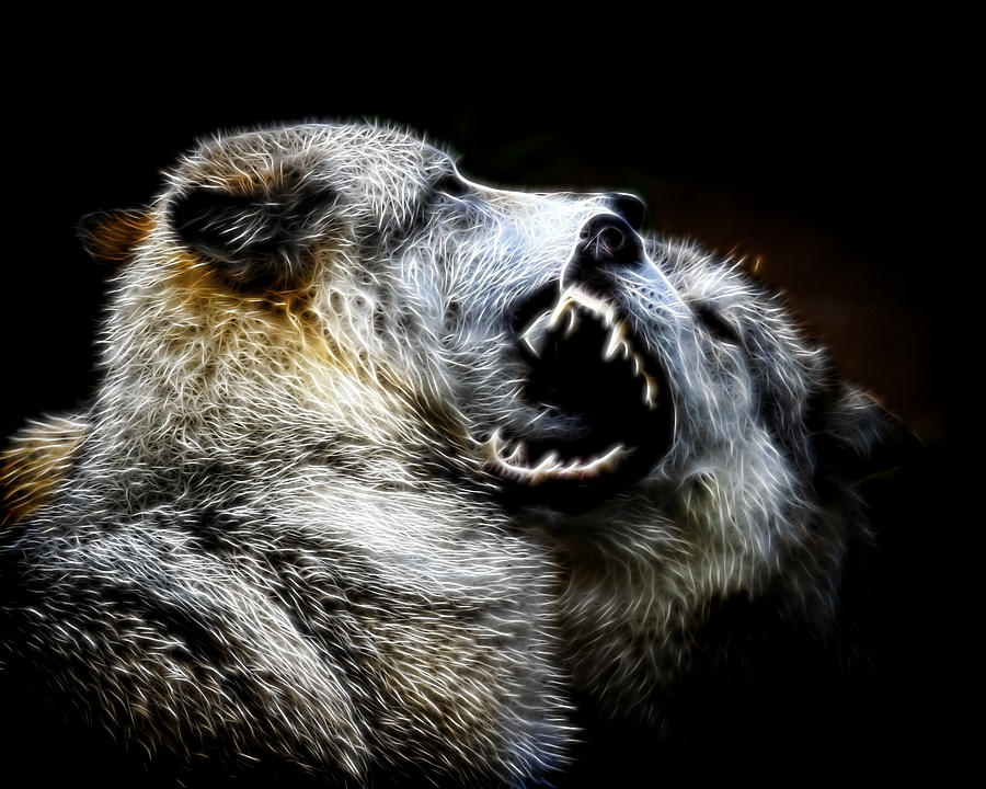 Grey Wolf Fight Photograph by Steve McKinzie