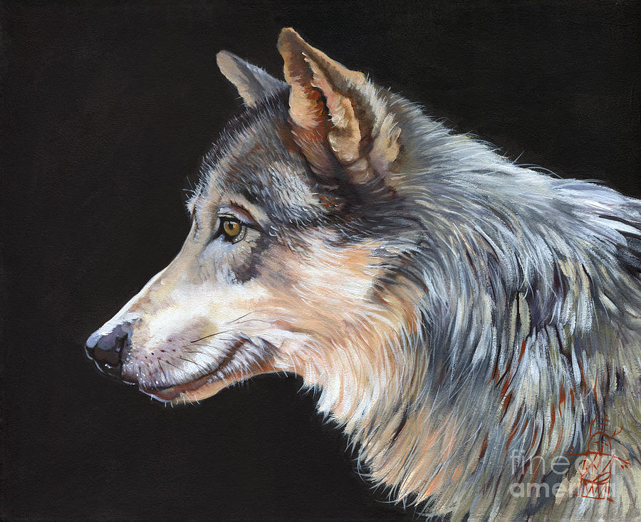 Grey Wolf Painting by J W Baker