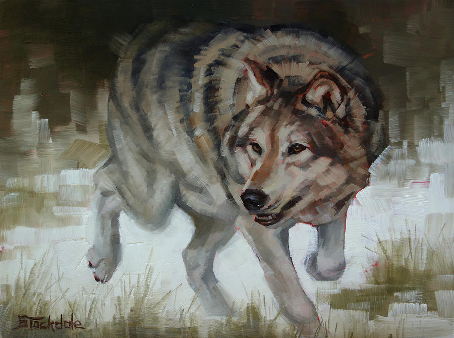 Grey Wolf On The Move Painting by Margaret Stockdale