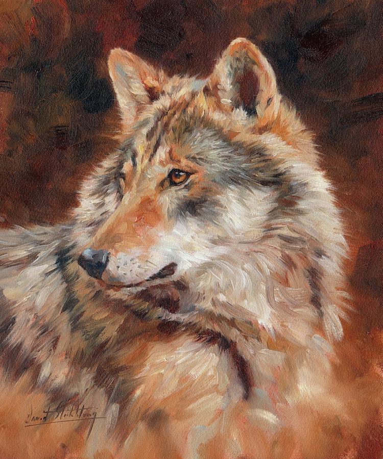 Grey Wolf Portrait Painting by David Stribbling