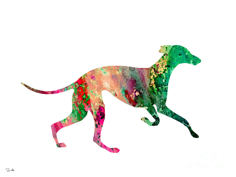 Greyhound Illustration Painting - Greyhound 2 by Watercolor Girl