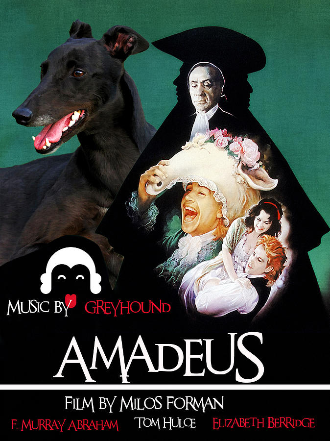 Greyhound Art Canvas Print - Amadeus Movie Poster Painting by Sandra Sij