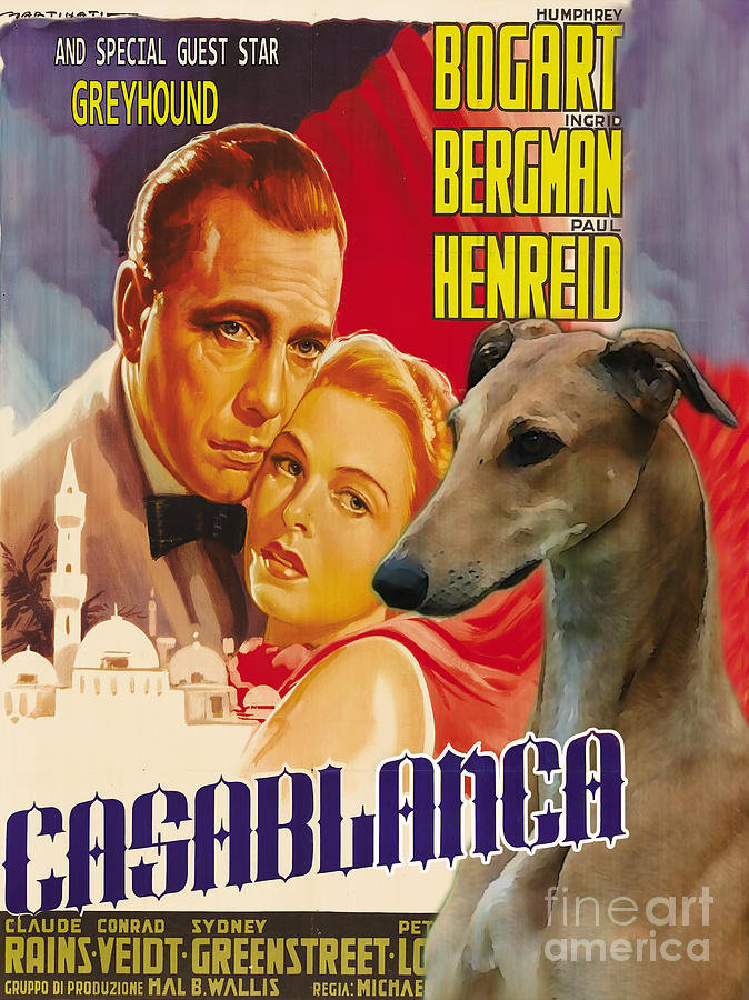 Casablanca Movie Painting - Greyhound Art - Casablanca Movie Poster by Sandra Sij