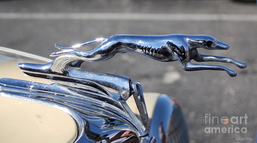 Greyhound Hood Ornament Photograph by Dodie Ulery