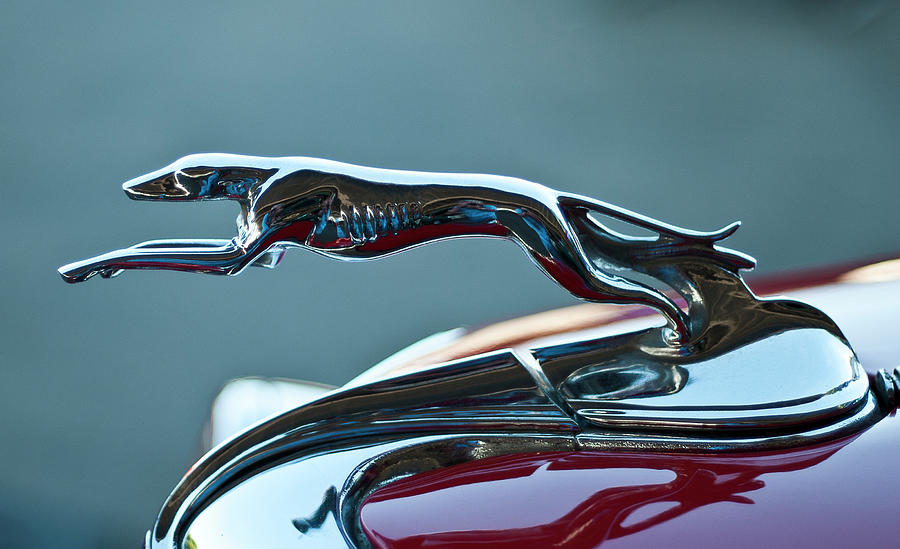 Greyhound Hood Ornament Photograph by Ron Roberts