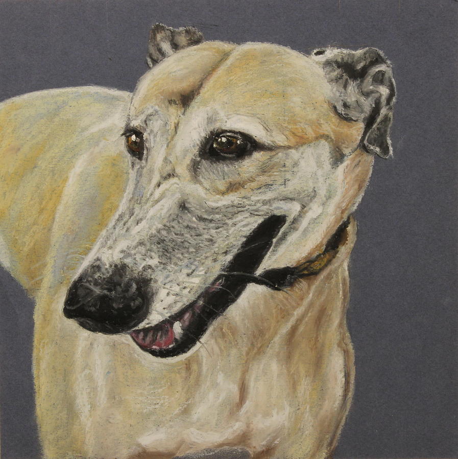 Dog Painting - Greyhound by Jeanne Fischer