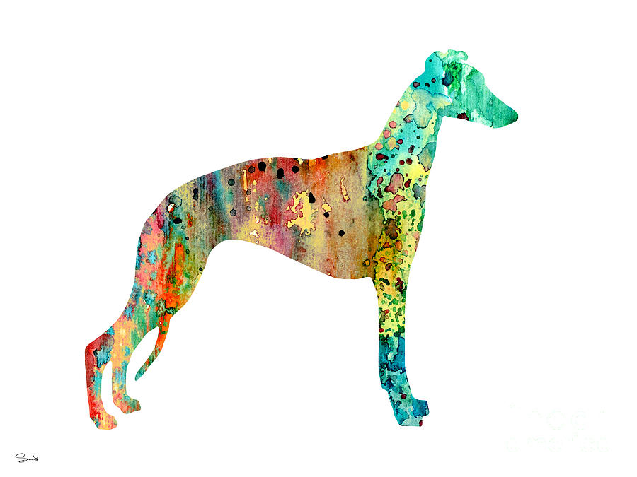 Greyhound Illustration Painting - Greyhound  by Watercolor Girl