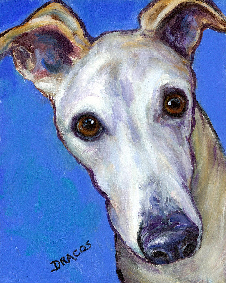 Dog Painting - Greyhound Portrait on Blue by Dottie Dracos