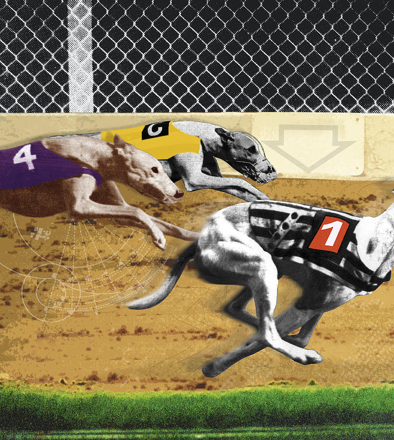 Greyhounds on race track, side view (sepia tone and black and white) Photograph by Matt Herring