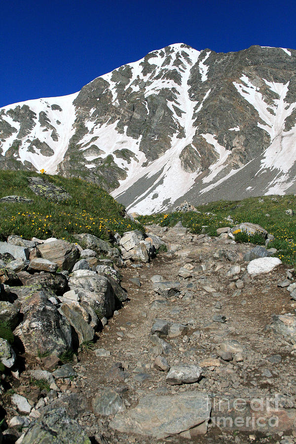 Alpine Pathway Photograph by James Moore