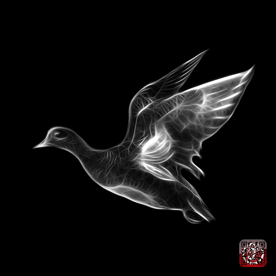 Greyscale American Wigeon - 7675 F - BB Mixed Media by James Ahn