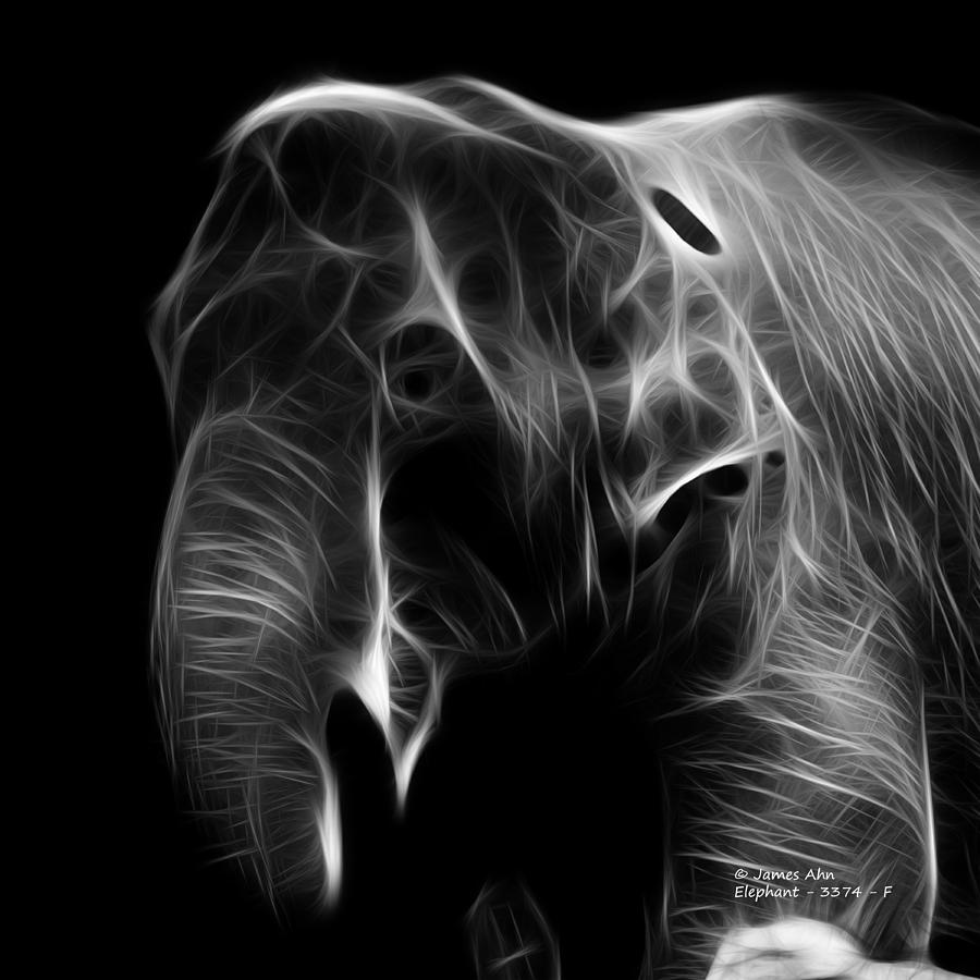 Greyscale Elephant 3374 - F Digital Art by James Ahn