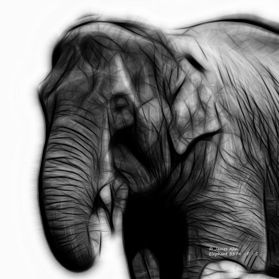 Greyscale Elephant 3374 - F - S Digital Art by James Ahn