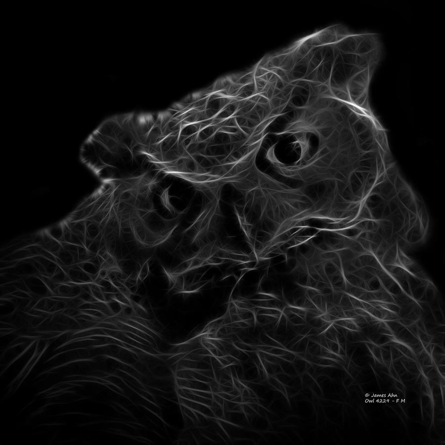 Greyscale Owl 4229 - F M Digital Art by James Ahn