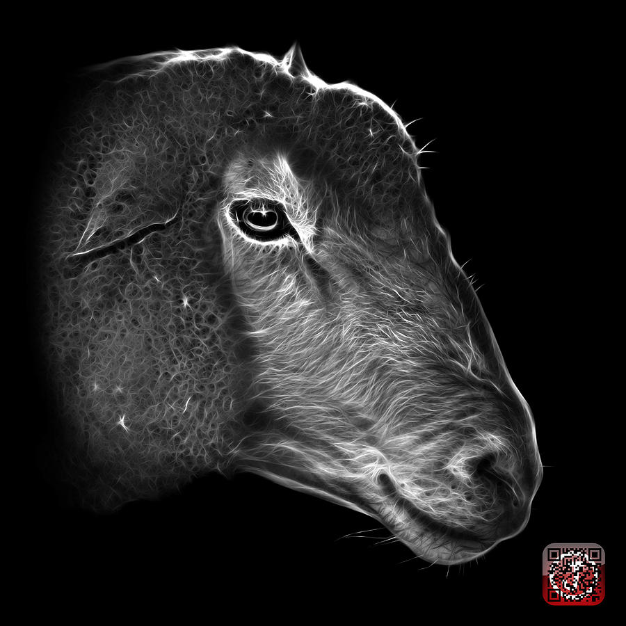 Greyscale Polled Dorset Sheep - 1643 F Digital Art by James Ahn
