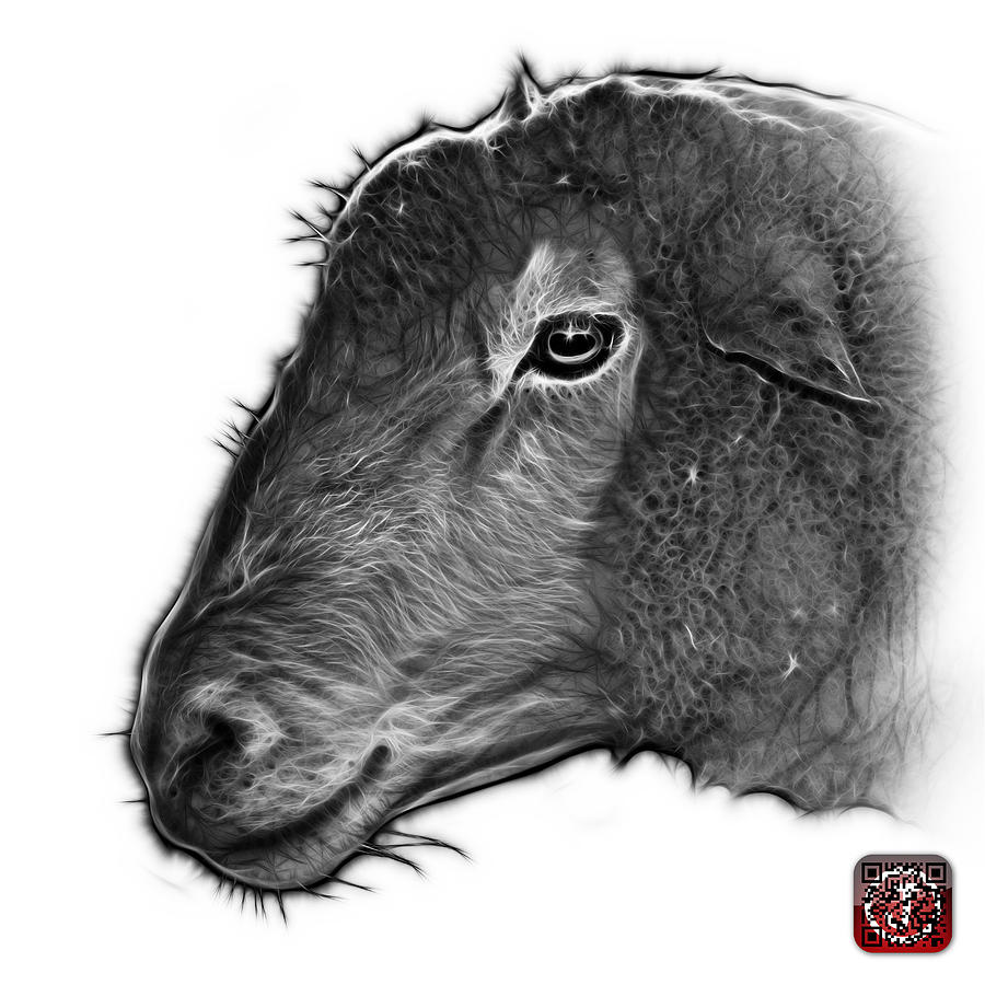 Greyscale Polled Dorset Sheep - 1643 FS Digital Art by James Ahn