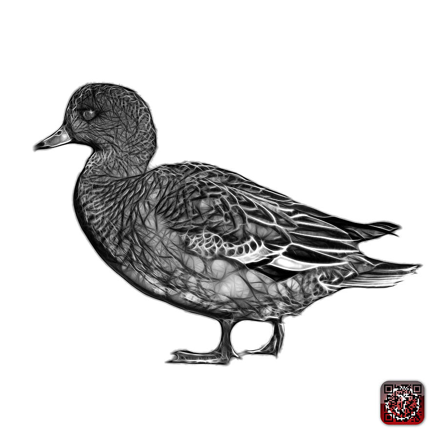 Greyscale Wigeon Art - 7415 - WB Mixed Media by James Ahn