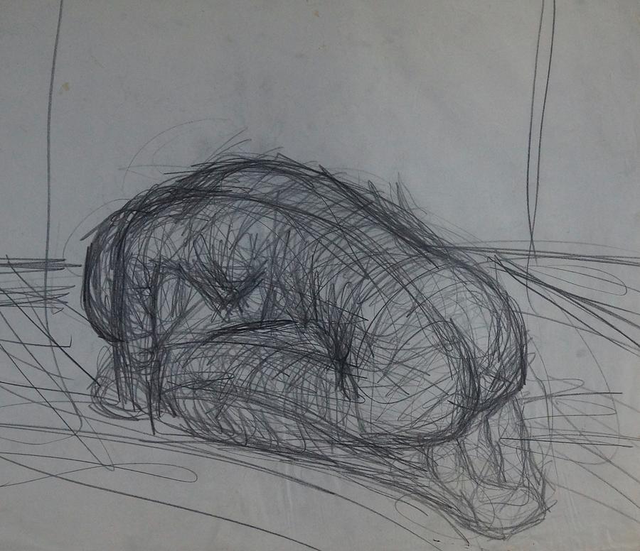Grief Drawing By Erika Chamberlin