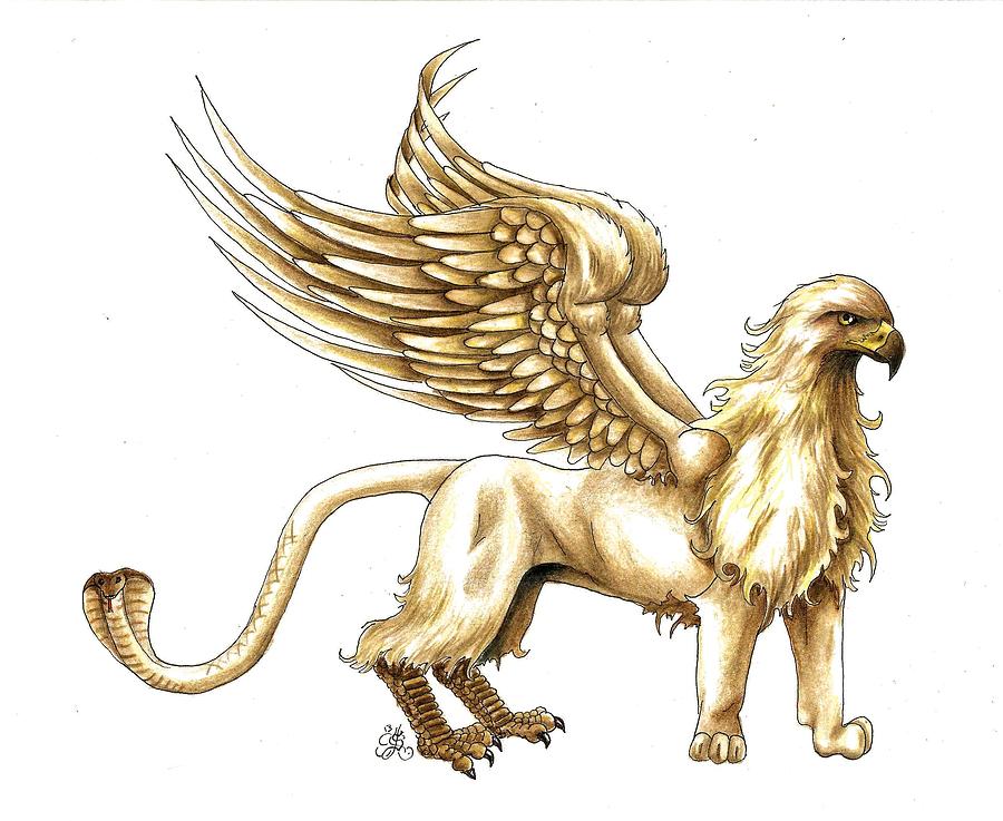 Griffin Drawing by Scarlett Royale