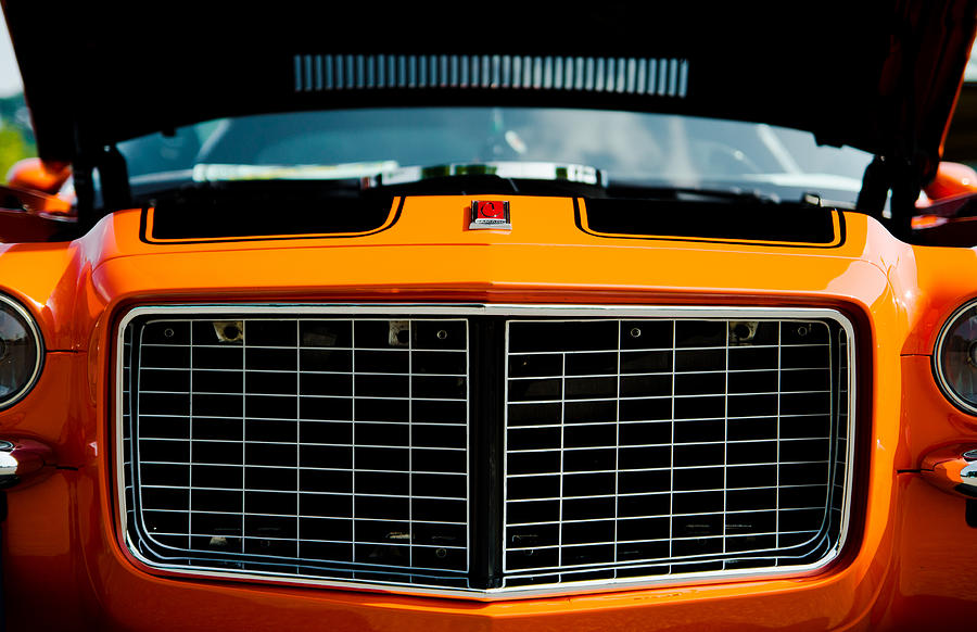 Grille II  Photograph by Off The Beaten Path Photography - Andrew Alexander
