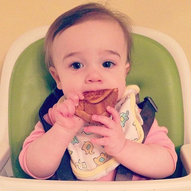 Grilled Cheese. #ladybaby2013 Photograph by Lauren Mccullough